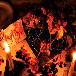 Vom Fetisch Der Unbeirrtheit : Vertilger